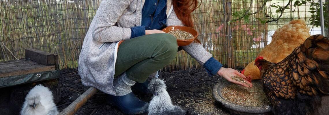 [paste advice page name here]